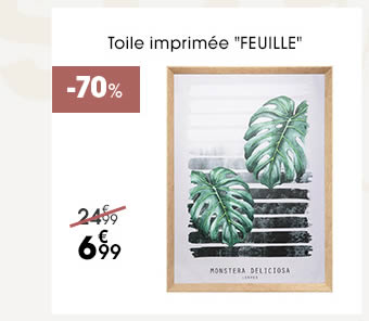 Toile imprimée 